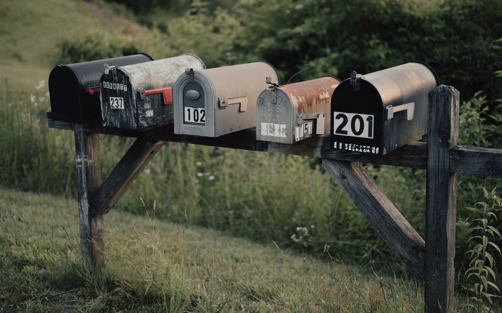 A rural mailbox on its post at the end of a farm road, an adult letter carrier reaching in, the road running away into the distance behind